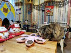-小时光咖啡馆(开森度假森林店)