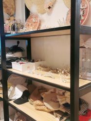 -宝贝家族国际影像馆(高新店)