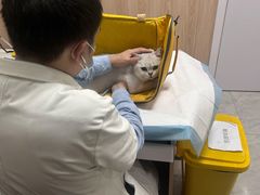 -恒幸动物医院·急重症转诊中心·神经内外科·CT核磁