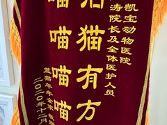 -悦宠凯宝动物医院·牙科·皮肤科(朝阳北路店)
