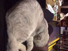 Mikaku-MIKAKU(万达广场上海宝山店)