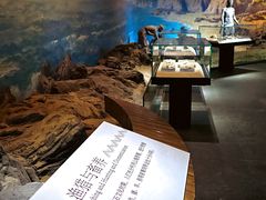 -烟台市博物馆