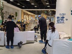 -藏猫猫咖啡主题馆(中央大道店)