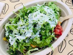 -油梨树 AVOCADO TREE(亮马桥店)