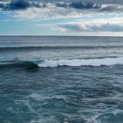 -薇兰专业脱毛连锁机构