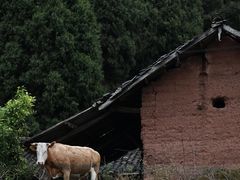 -舒家湾天主教堂