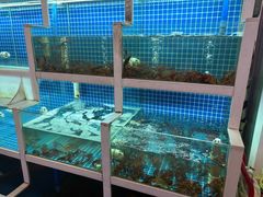 -冶建镜子·中国龙虾王(总店)