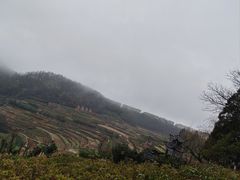 -乌石村