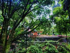 -飞霞风景名胜区