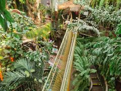 -正佳雨林生态植物园