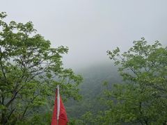 -宁波五龙潭景区