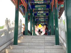 -西海子公园