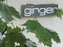 -Ginger(兴国路店)