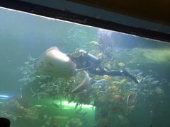 -洛阳龙门海洋馆