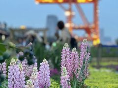 -龙美术馆西岸馆-停车场