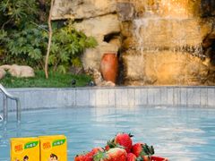 -深业半汤御泉庄温泉