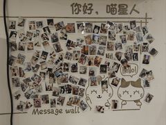 -楼上猫咖(罗湖店)