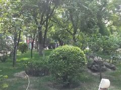 android_upload_pic-文瀛公园