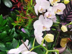 -三旗百汇商品城