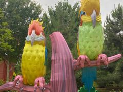 -南宫五洲植物乐园