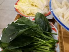 -东镇老火锅(长春路首店)