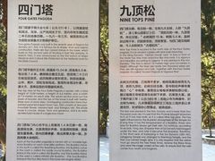 -四门塔风景区