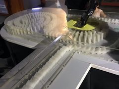 -陕西自然博物馆