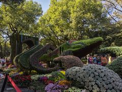 -杭州植物园