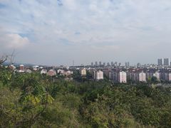 -府君山公园
