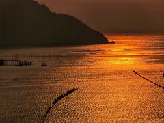 -北岐滩涂