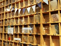 -猫的天空之城概念书店(杭州南宋御街店)