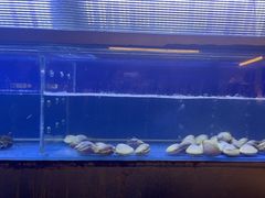 -白仁仔· 活烤海鲜 宵夜(豫园店)