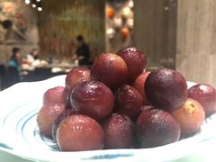 -常州环球恐龙城维景国际大酒店