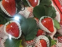 -菜园坝水果市场