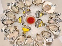 -Oyster Talks 四度蚝法餐厅