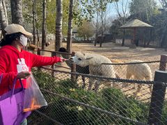 -大连森林动物园