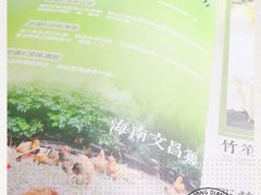 -探窝·竹笙椰子鸡(杨箕店)