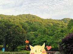 -桃花岭景区