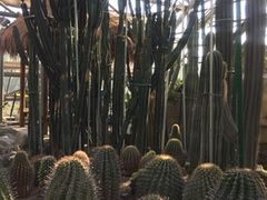 -南山植物园