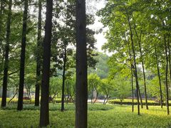 -徐家汇源景区-衡山公园