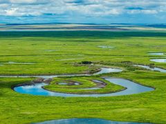 -奈雪的茶(亨特国际广场店)
