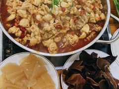 -专业跳跳蛙·彭彭老铺(步行街店)
