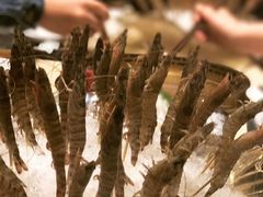 斑节虾-余欢领鲜火锅(新街口店)