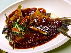 三新全鱼-邀月楼(新华路店)