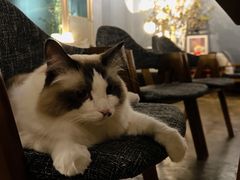 -咖法森林·咖啡  酒吧(天河店)