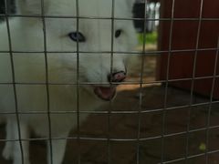 -武汉紫薇都市田园