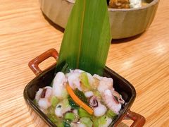 -团子君寿司·茶