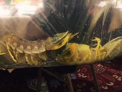 -陶陶居海鲜酒家(新马路店)