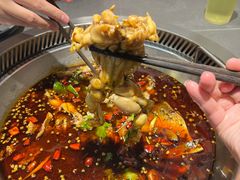 美蛙鱼头火锅-味仙疯美蛙鱼头(清扬路总店)