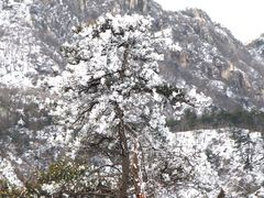 -沂蒙山旅游区云蒙景区(蒙山国家森林公园)